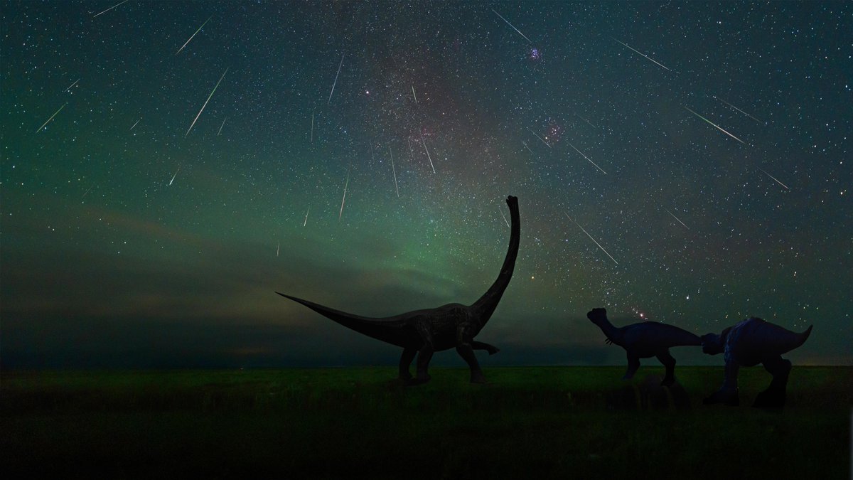 The Perseid meteor shower photographed at the Dinosaur Museum of Erenhot in Inner Mongolia, China