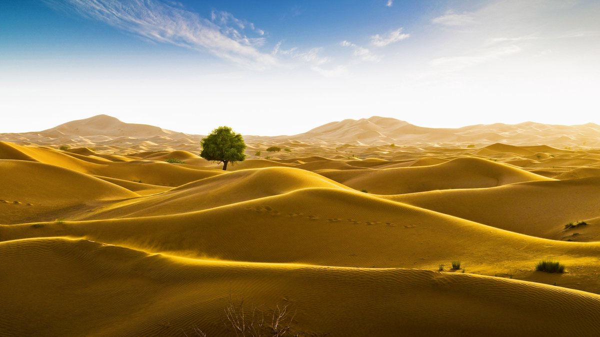 Rub' al Khali desert on the border of Oman and the Emirate of Dubai