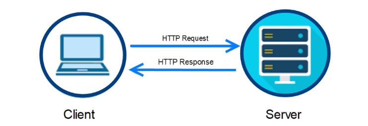 Understanding the Client - Server Relationship