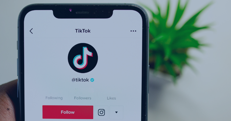 Should Businesses Rethink the Use of TikTok to Retain User Privacy?