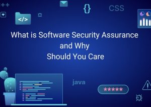 What is Software Security Assurance and Why You Should Care