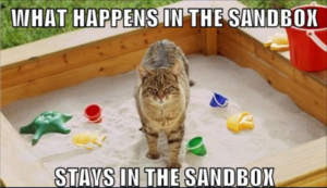 cat-sandbox