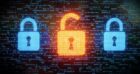 data-harvesting