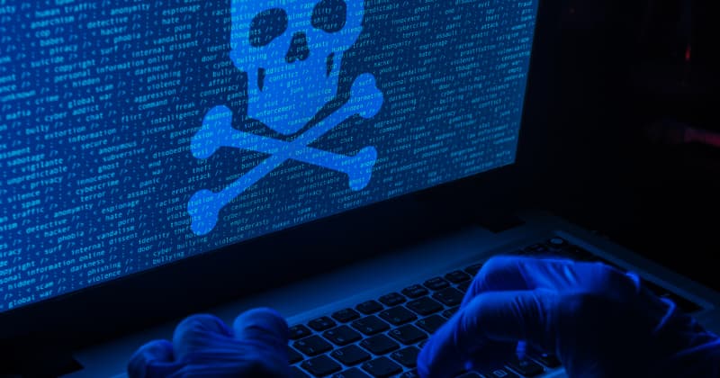bidencash darknet website